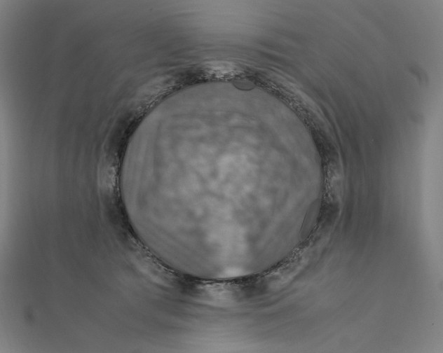 X0000112010417200908311138