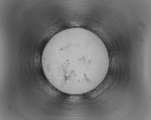 X0000112010418200908311138