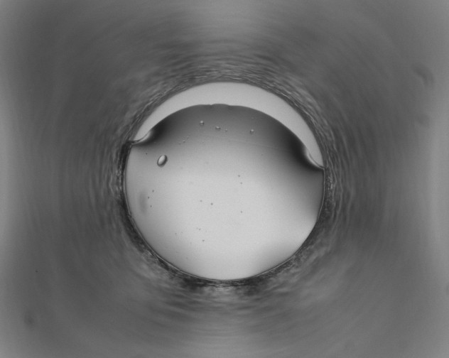X0000112010419200908311138