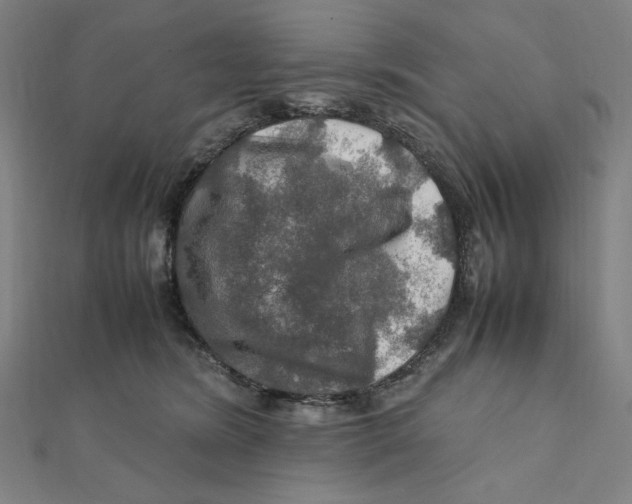 X0000112010420200908311138
