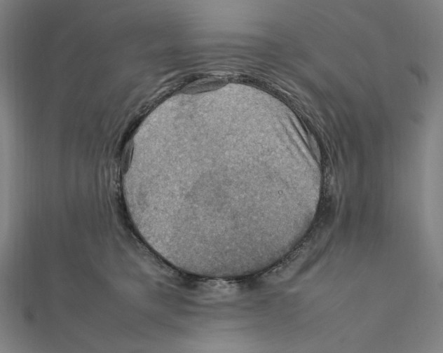 X0000112010421200908311138