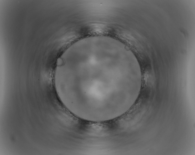 X0000112010423200908311138