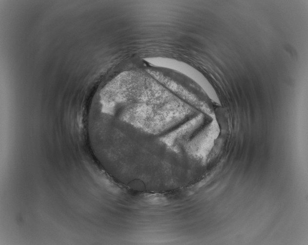 X0000112010424200908311138