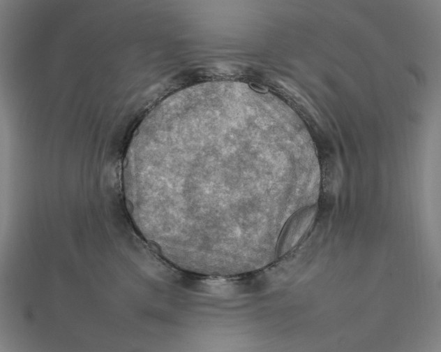 X0000112010425200908311138