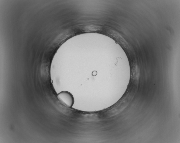 X0000112010426200908311138