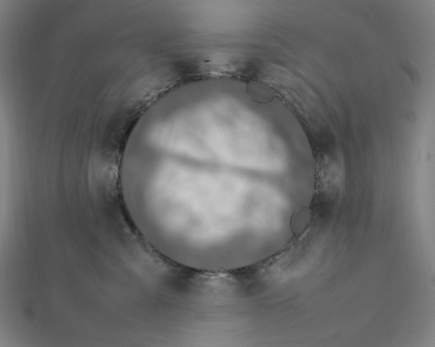 X0000112010427200908311138