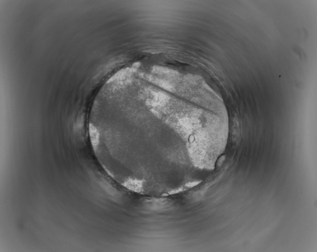 X0000112010428200908311138
