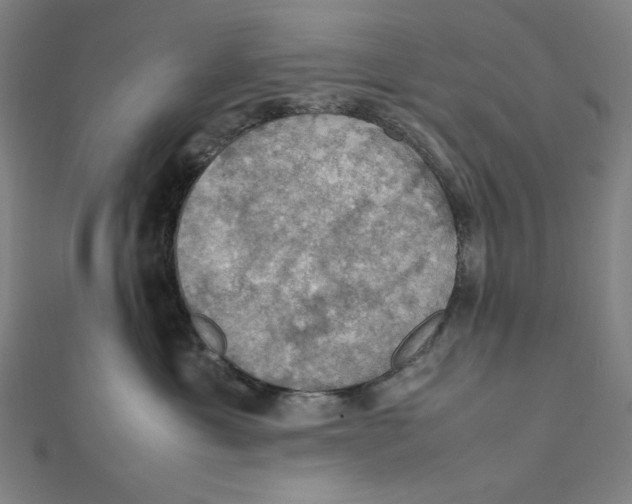 X0000112010429200908311138