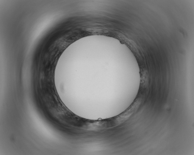 X0000112010430200908311138