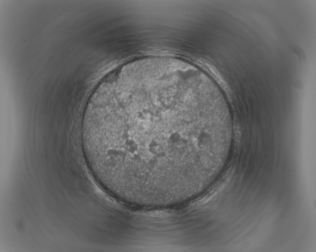 X0000112010433200908311137