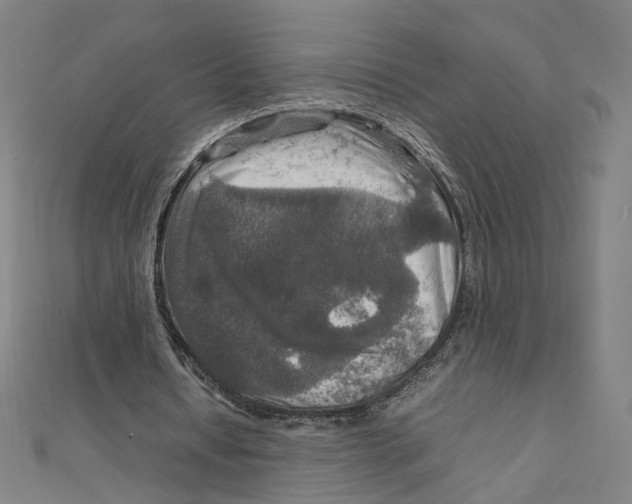 X0000112010434200908311137