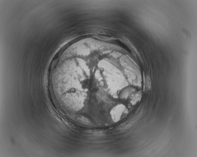 X0000112010435200908311137
