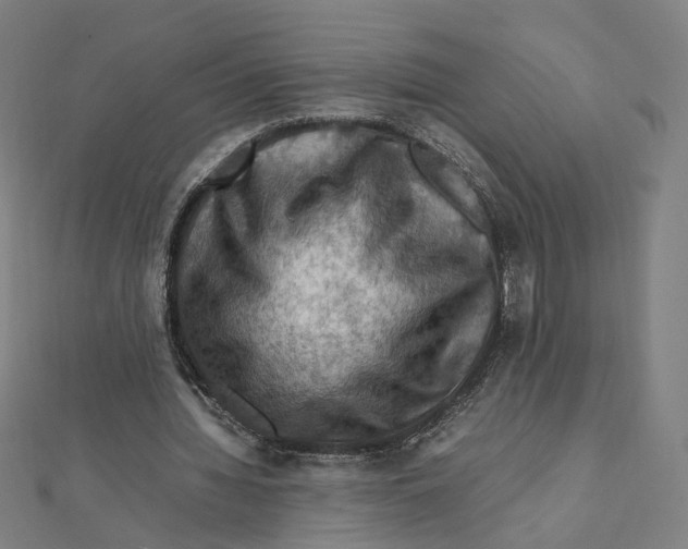 X0000112010436200908311137