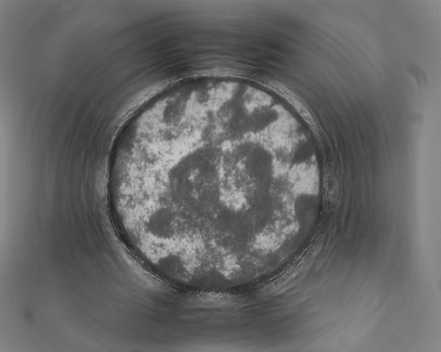 X0000112010437200908311137