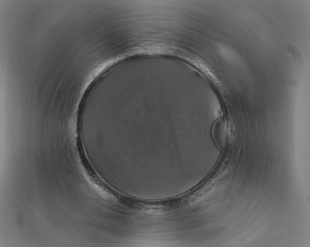 X0000112010438200908311137