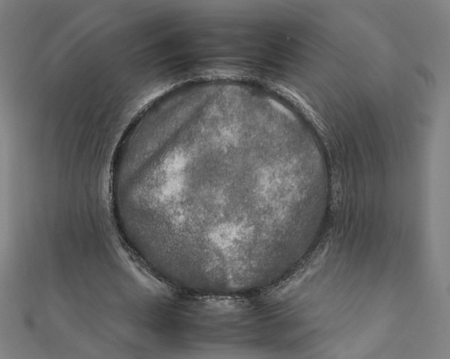 X0000112010439200908311137