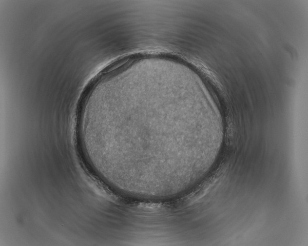 X0000112010440200908311137