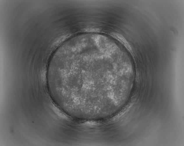 X0000112010441200908311137