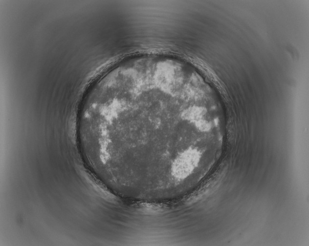 X0000112010442200908311137