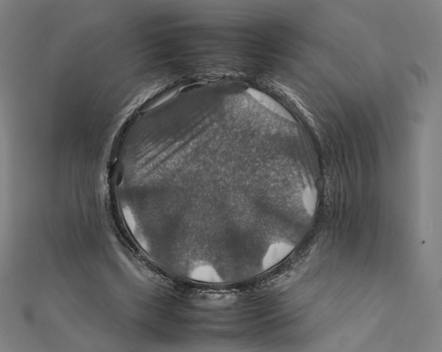 X0000112010443200908311137