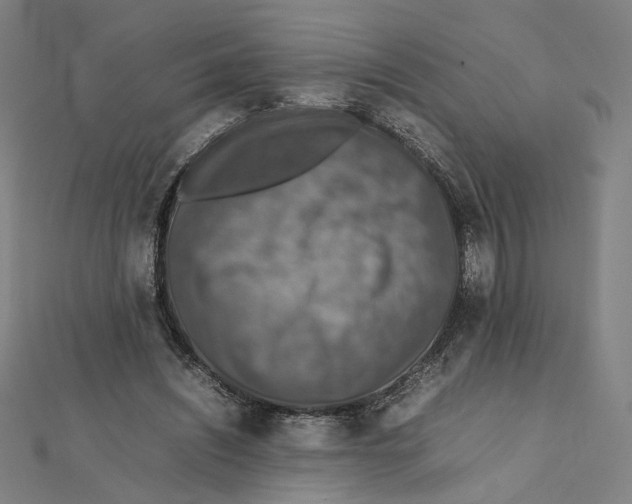 X0000112010444200908311137