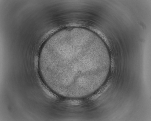 X0000112010445200908311137