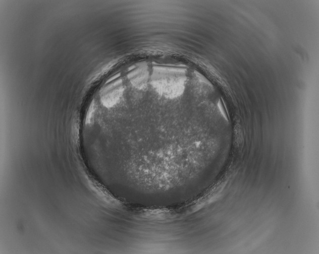 X0000112010446200908311137