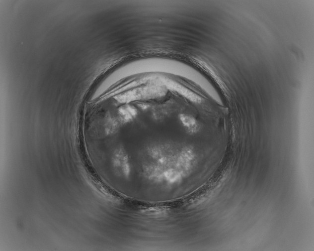 X0000112010447200908311137