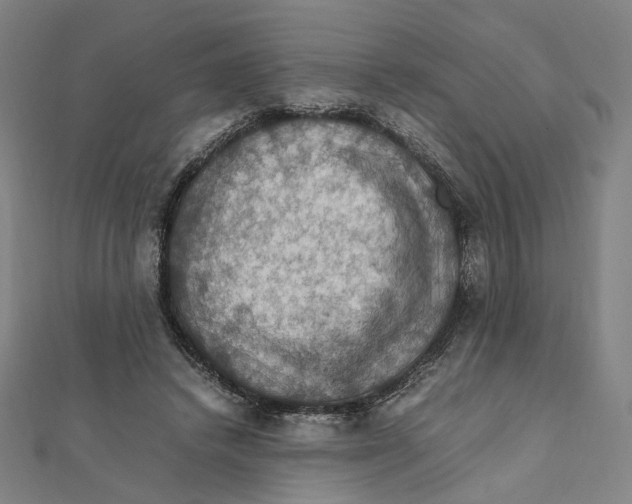 X0000112010448200908311137