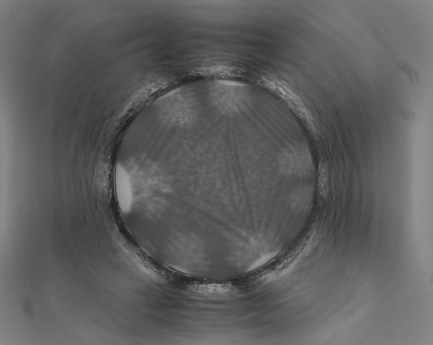 X0000112010449200908311137