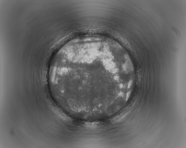 X0000112010450200908311137