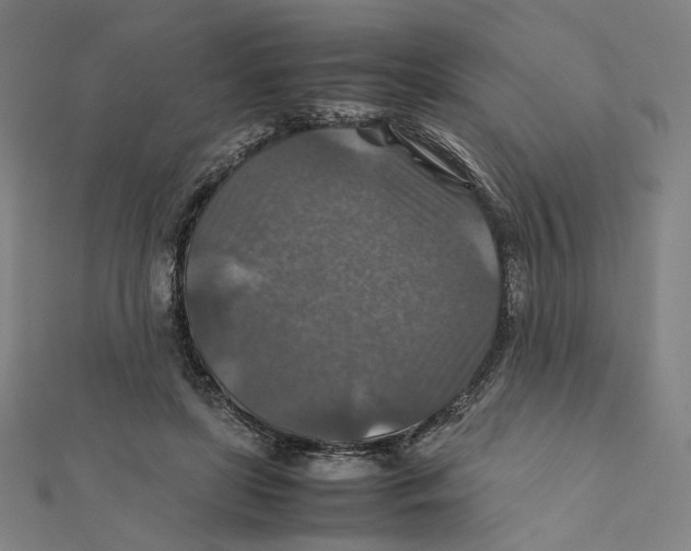 X0000112010451200908311137