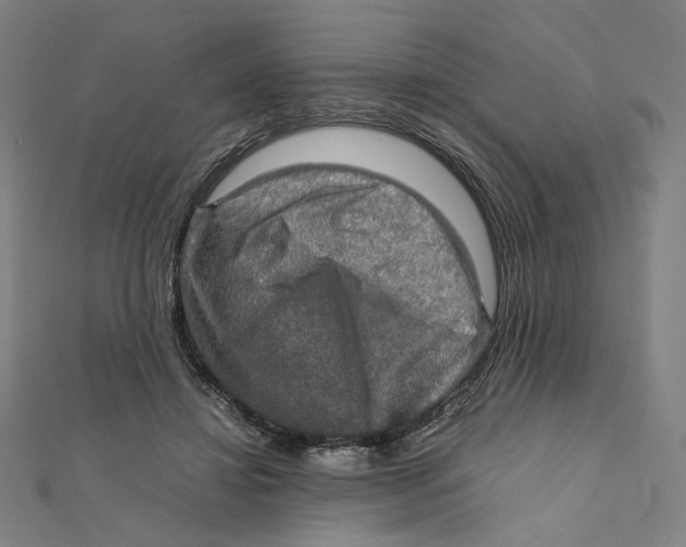 X0000112010452200908311137