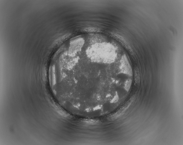 X0000112010453200908311137