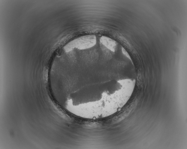 X0000112010454200908311137