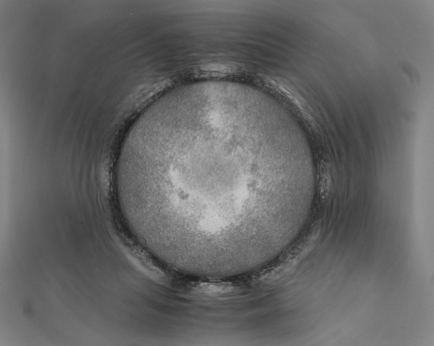 X0000112010455200908311137