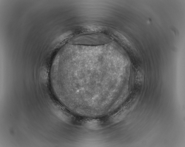 X0000112010456200908311137