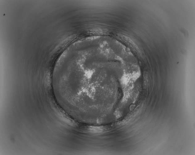 X0000112010457200908311137