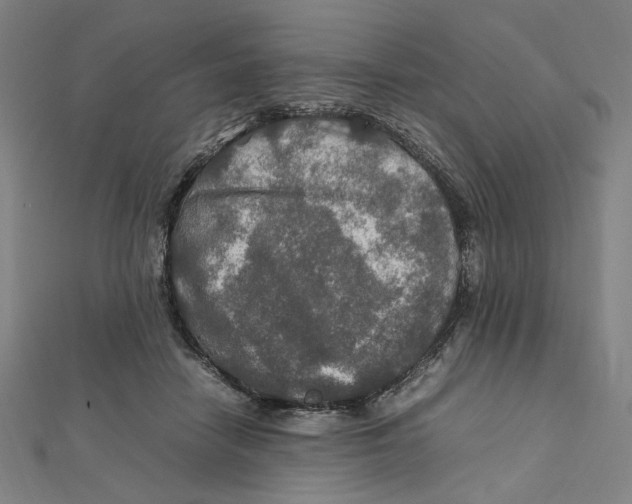 X0000112010458200908311137