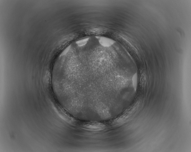 X0000112010459200908311137