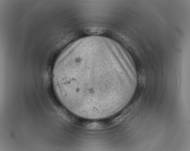 X0000112010460200908311137