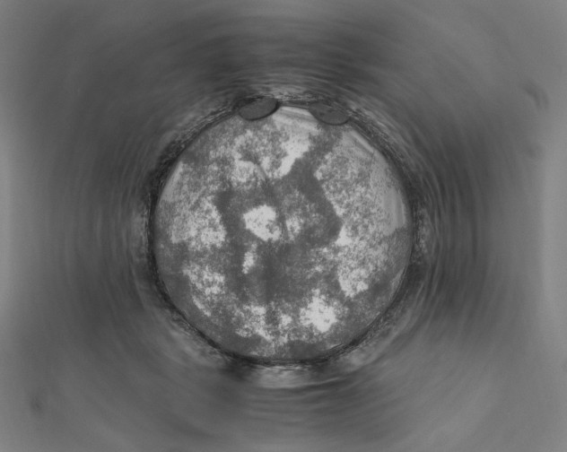 X0000112010461200908311137