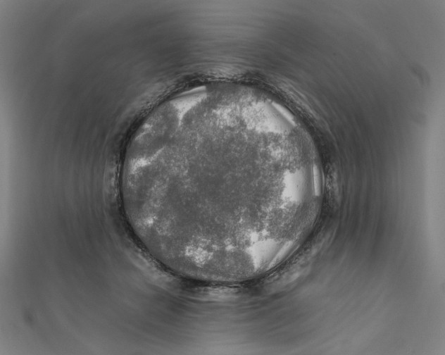 X0000112010462200908311138
