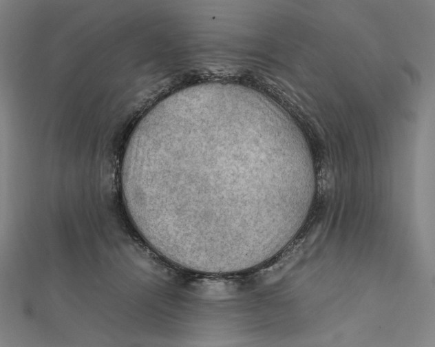 X0000112010464200908311138