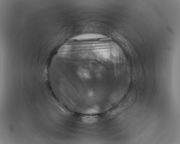 X0000112010465200908311138