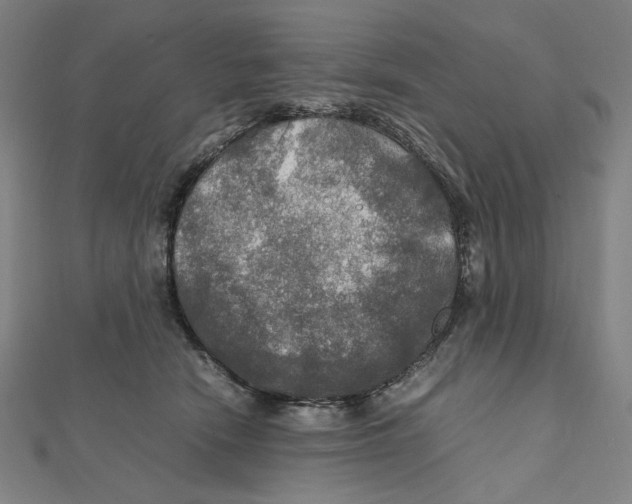 X0000112010466200908311138