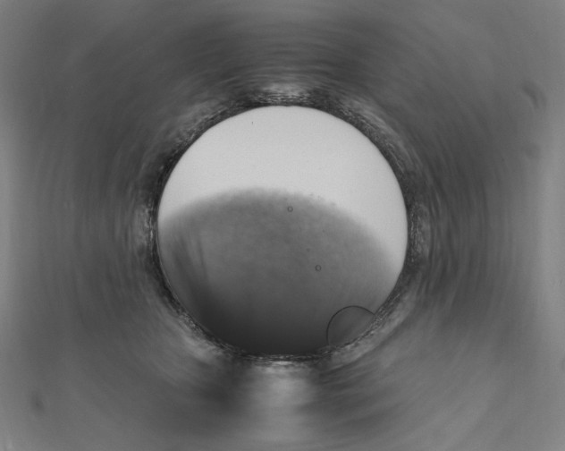 X0000112010467200908311138