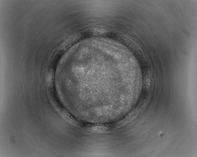X0000112010468200908311138