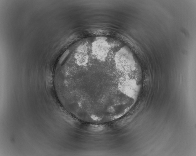 X0000112010469200908311138