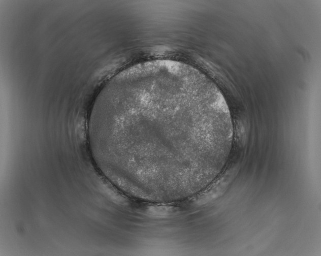X0000112010470200908311138